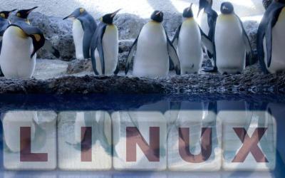 How to Choose the Best Linux Distribution
