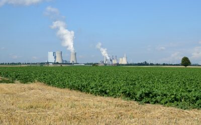 Essential SaaS Tools to Supercharge Solopreneur Efficiency and Simplify Business Operations