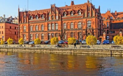 Email Marketing Success: Essential Strategies for Solopreneurs to Engage and Expand Their Audience