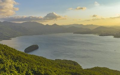 Leverage AI Tools to Boost Efficiency and Growth for Your Solo Business Success