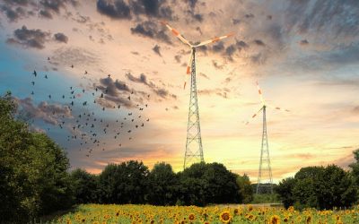 Ultimate SaaS Tools for Solopreneurs to Enhance Efficiency and Simplify Operations