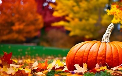 Upgrade Your Solo Venture with AI Tools for Enhanced Efficiency and Growth