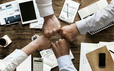 Craft a Winning Content Marketing Strategy for Your Solo Business Transformation