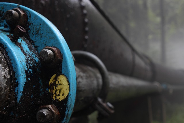 Optimize Your Solo Venture with the Best Project Management Tools for Individual Entrepreneurs