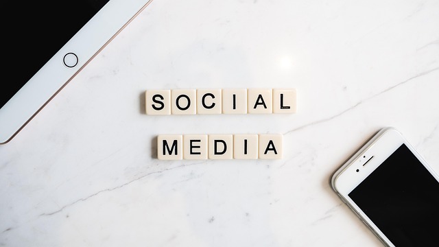 Boost Your Solo Venture: An SEO Guide for Beginner Solopreneurs