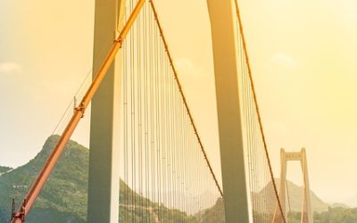 Essential Project Management Tools for Streamlined Solo Business Operations