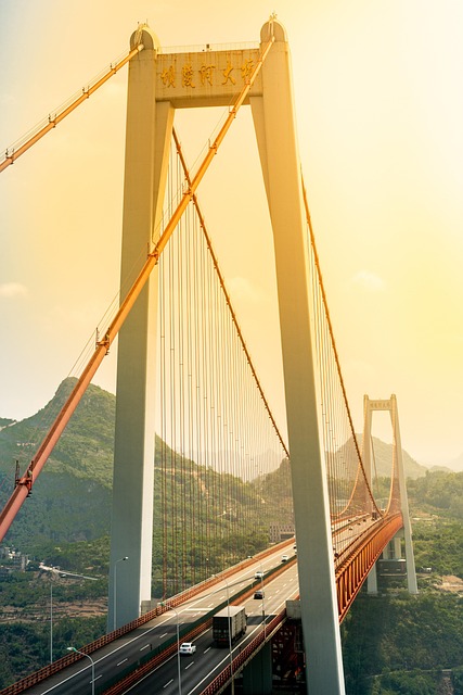Essential Project Management Tools for Streamlined Solo Business Operations