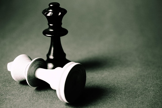 AI Tools to Amplify Efficiency and Growth for Solopreneurs