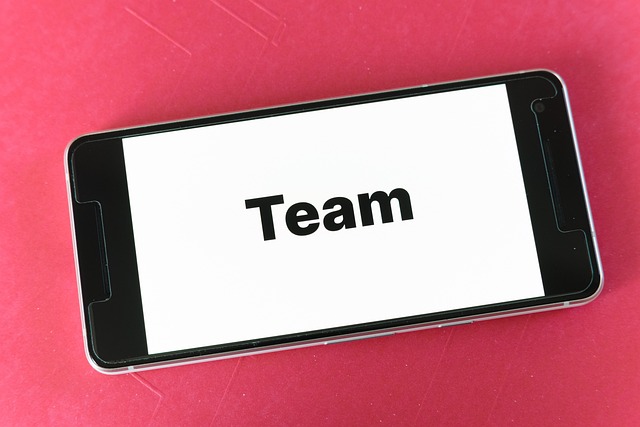 Crafting a Robust Content Marketing Plan for Your Solo Business Success