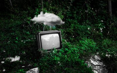 Top SaaS Tools Solopreneurs Can Use to Enhance Efficiency and Grow Their Business