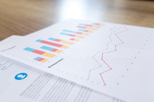 Mastering the Art of Solopreneurship: Essential Tips for Running a One-Person Business