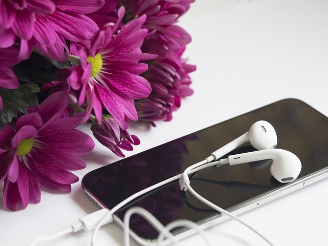 Top Affiliate Programs for Tech Bloggers to Maximize Earnings and Audience Engagement