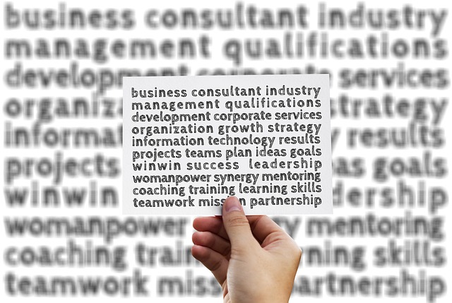 Optimize Your One-Person Business with the Best Project Management Tools for Solo Efficiency