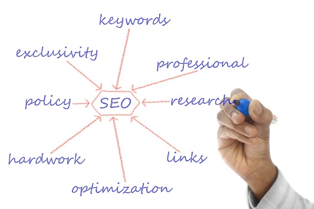 Streamline Social Media Strategies: Best Management Tools for Solopreneurs